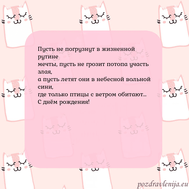 Розовая открытка с забавными кошками