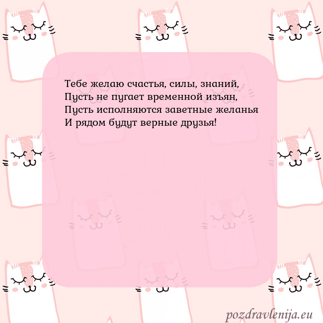 Розовая открытка с забавными кошками