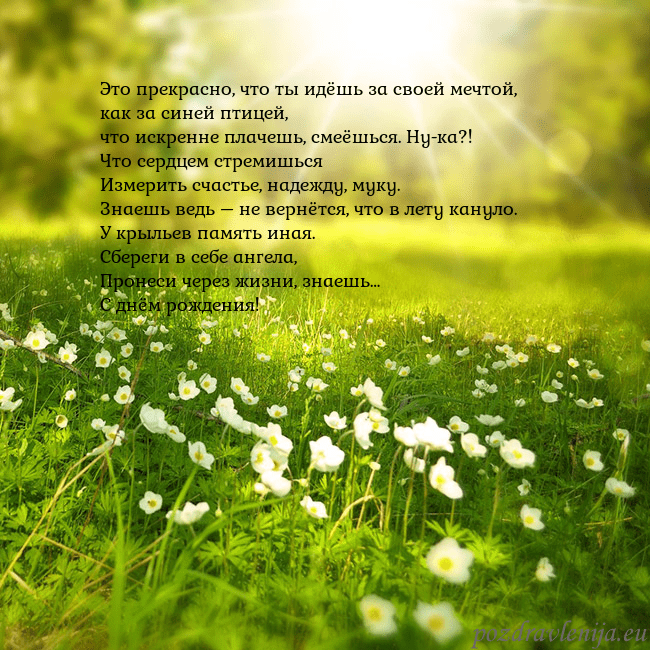 Электронная открытка с утопающим в солнечном свете лугом