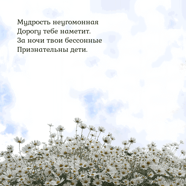 Открытка с ромашками