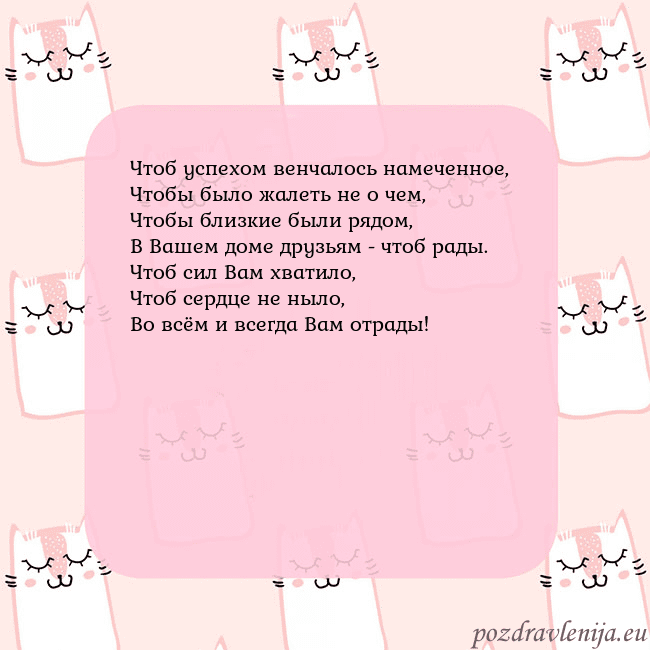 Розовая открытка с забавными кошками