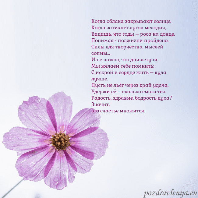 Электронная открытка с фиолетовым цветком