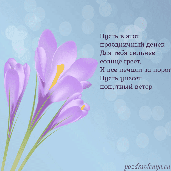 Открытка с крокусом