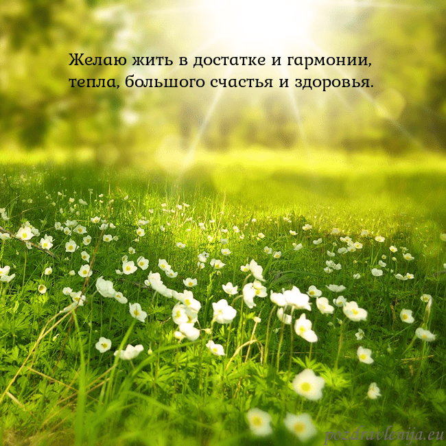 Электронная открытка с утопающим в солнечном свете лугом