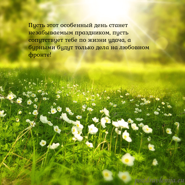 Электронная открытка с утопающим в солнечном свете лугом