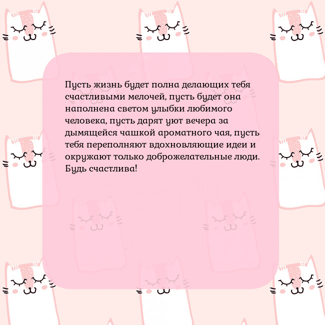 Розовая открытка с забавными кошками