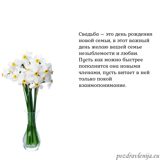 Открытка с нарциссами