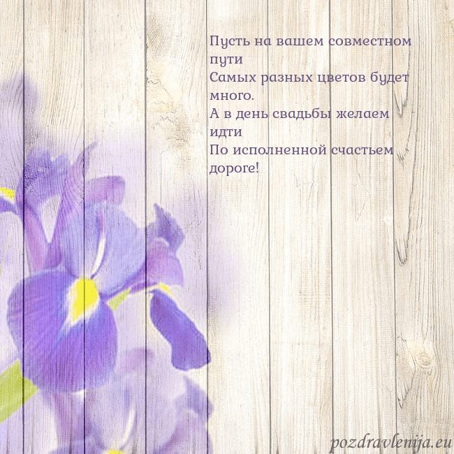 Открытка с ирисами