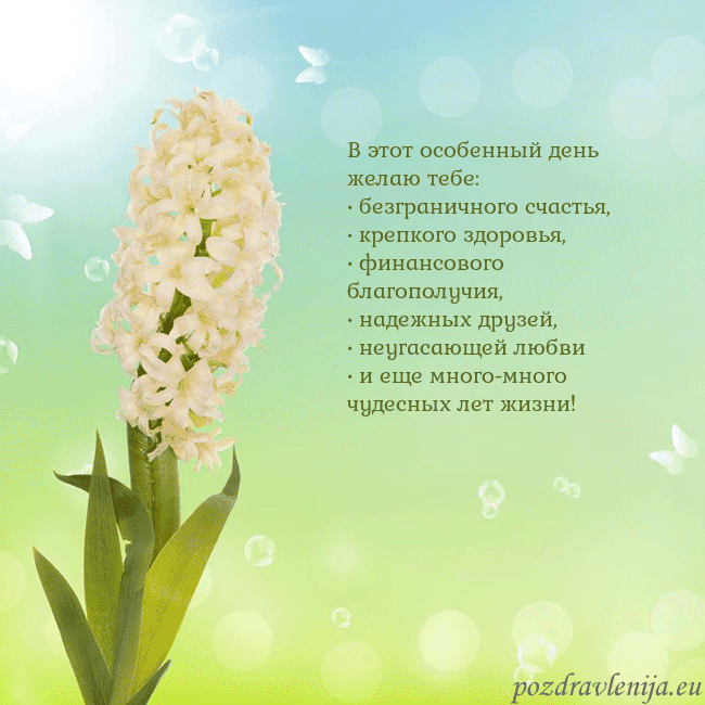 Открытка с гиацинтом