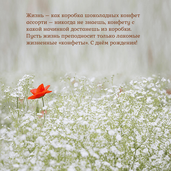 Электронная открытка с белыми цветами