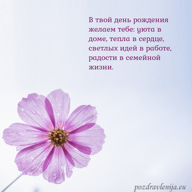 Электронная открытка с фиолетовым цветком