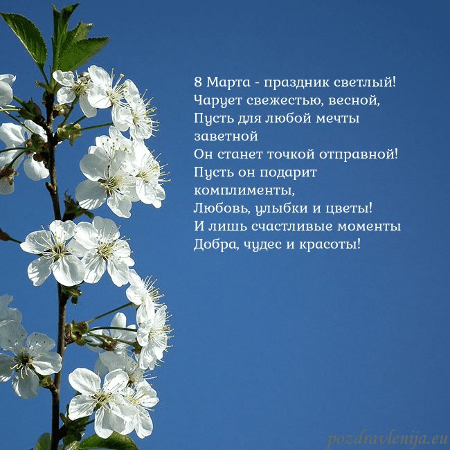 Открытка с весенними цветами 8 Марта - праздник светлый!
Чарует свежестью, вес Открытка с весенними цветами