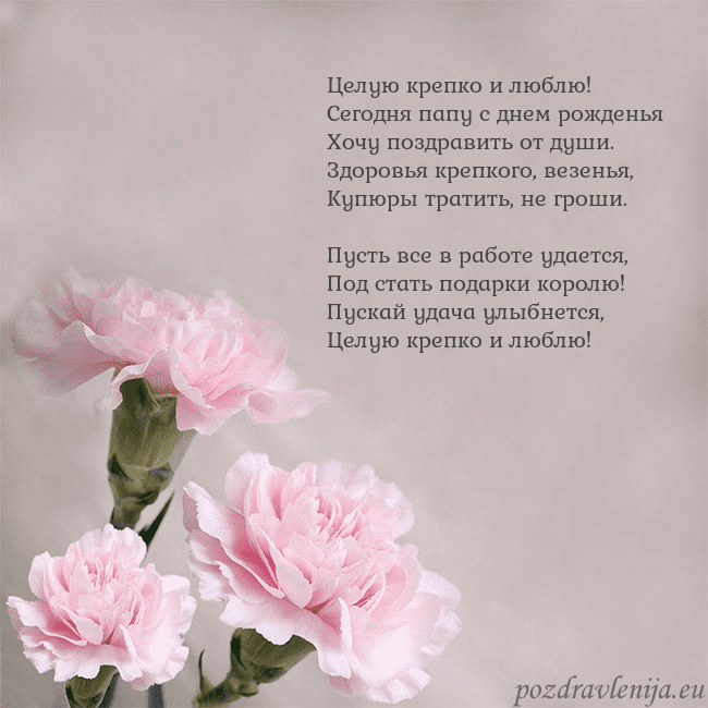 Открытка с розовыми гвоздиками