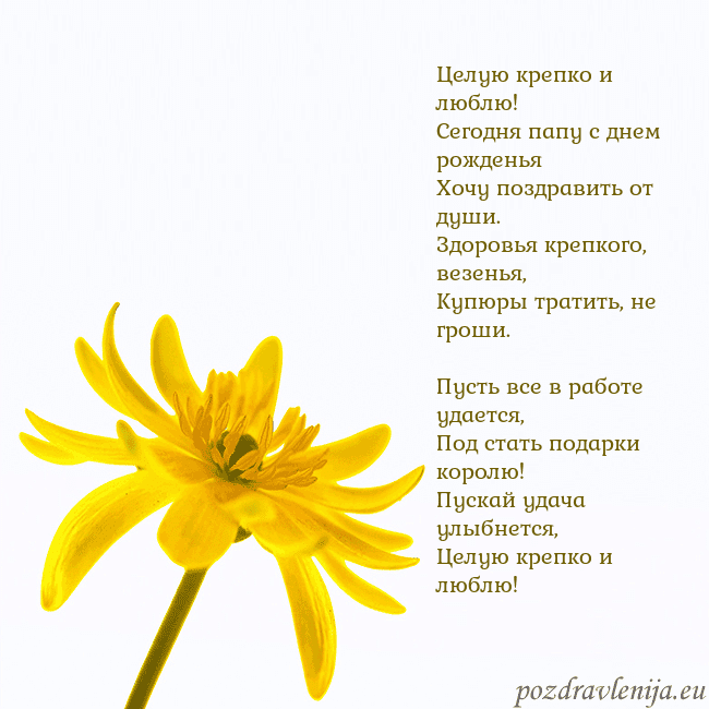 Открытка с желтым цветком