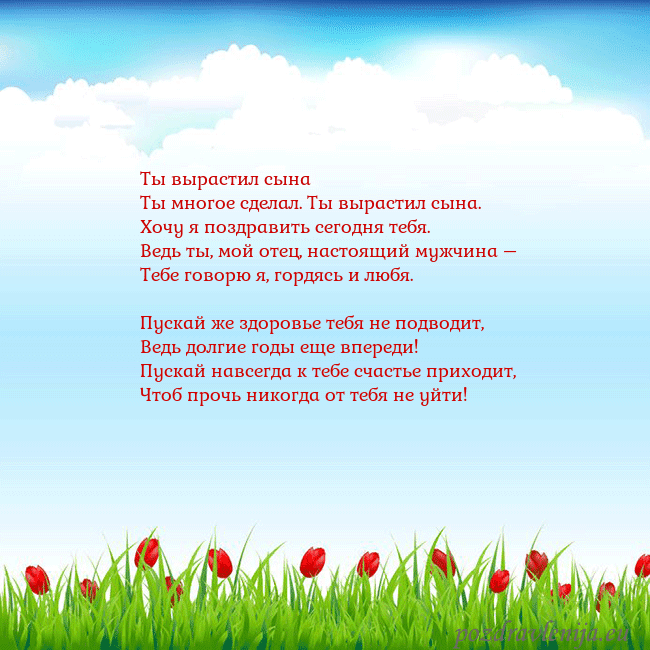 Открытка с тюльпанами