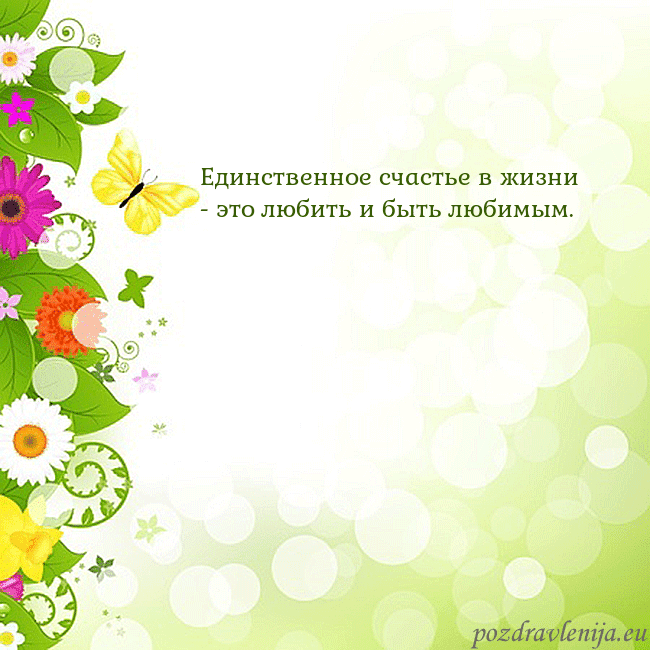 Открытка с разноцветными цветами и бабочками