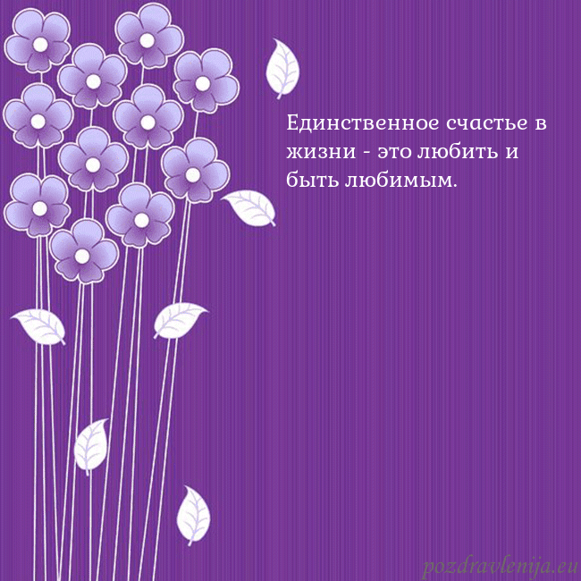 Открытка с фиолетовыми цветами