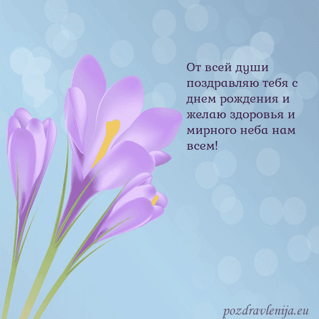 Открытка с крокусом