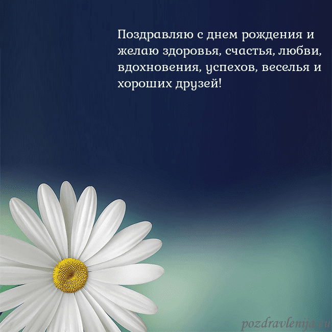 Открытка с большой ромашкой