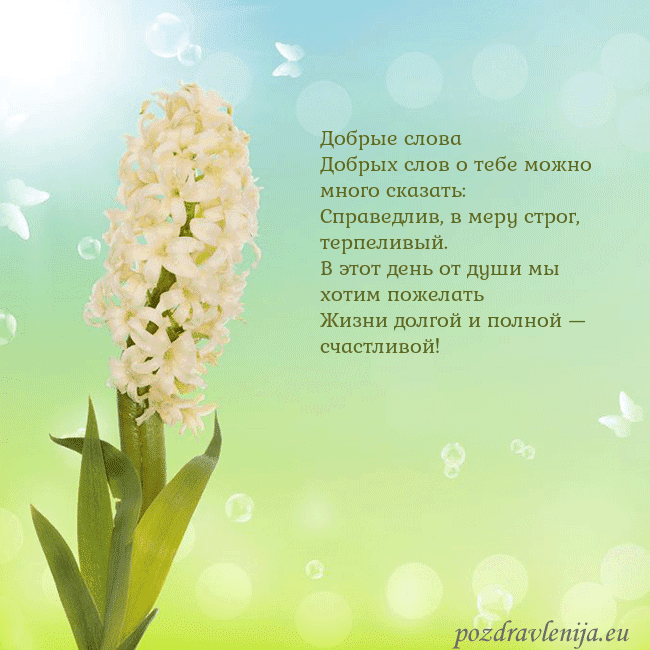 Открытка с гиацинтом