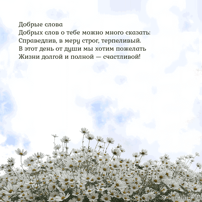 Открытка с ромашками