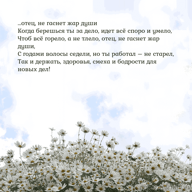 Открытка с ромашками