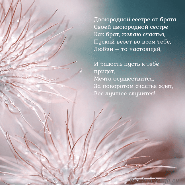 Открытка с пушистыми растениями