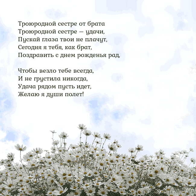 Открытка с ромашками