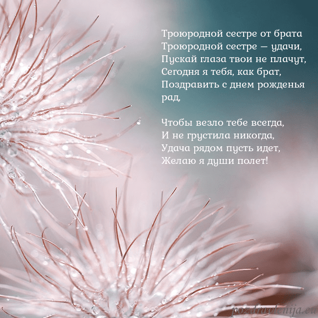 Открытка с пушистыми растениями