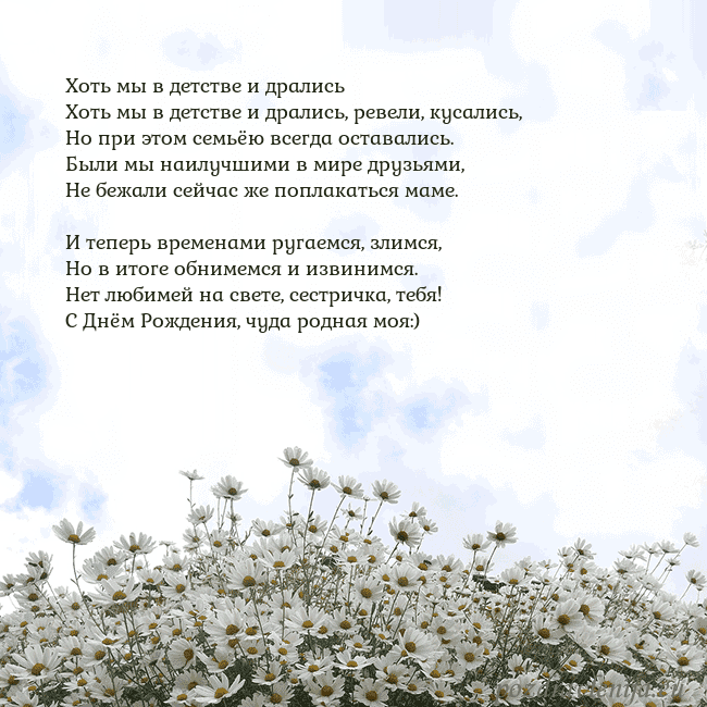 Открытка с ромашками