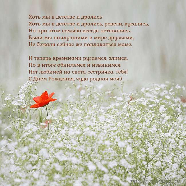 Электронная открытка с белыми цветами