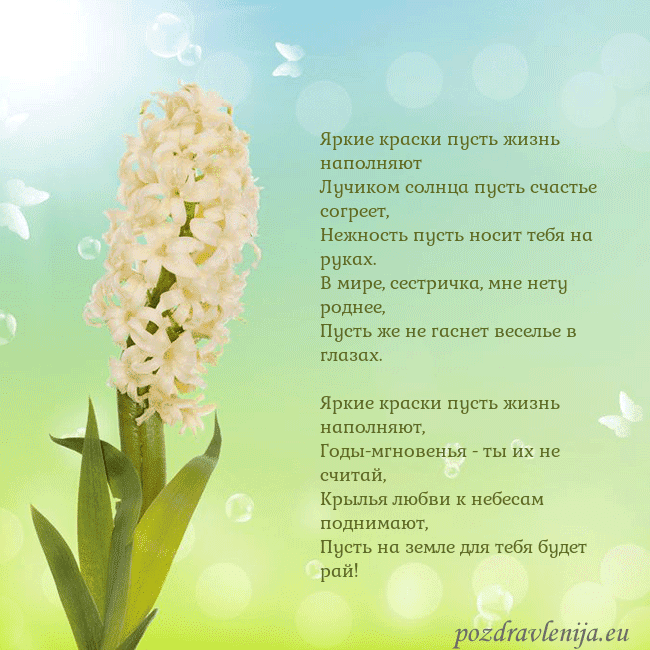 Открытка с гиацинтом