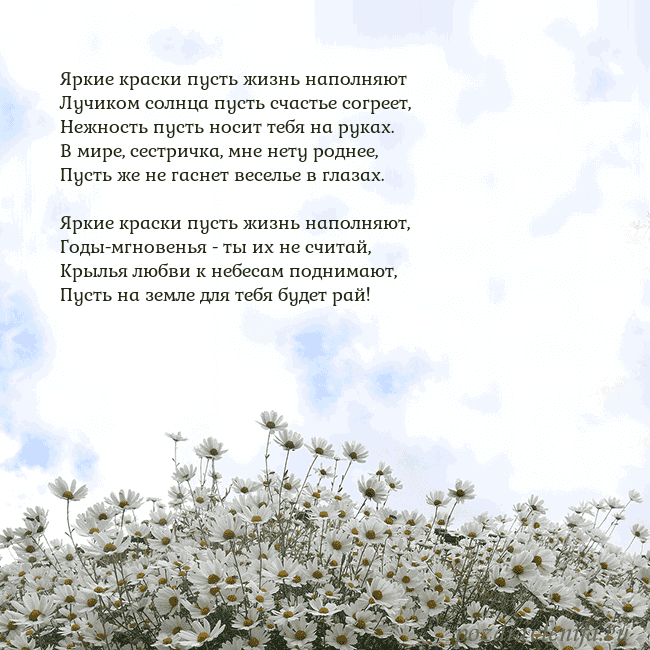 Открытка с ромашками