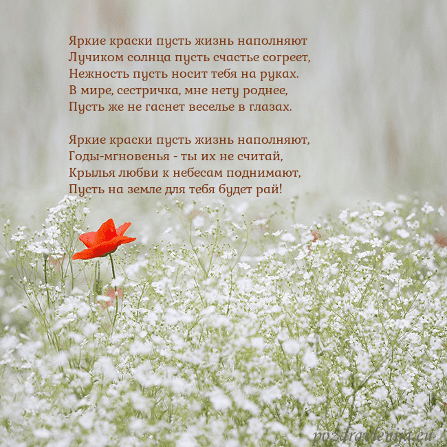 Электронная открытка с белыми цветами