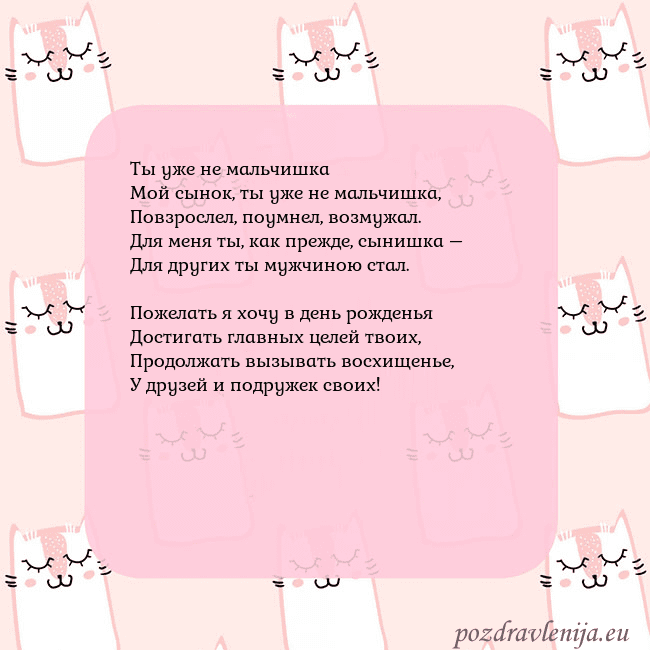 Розовая открытка с забавными кошками