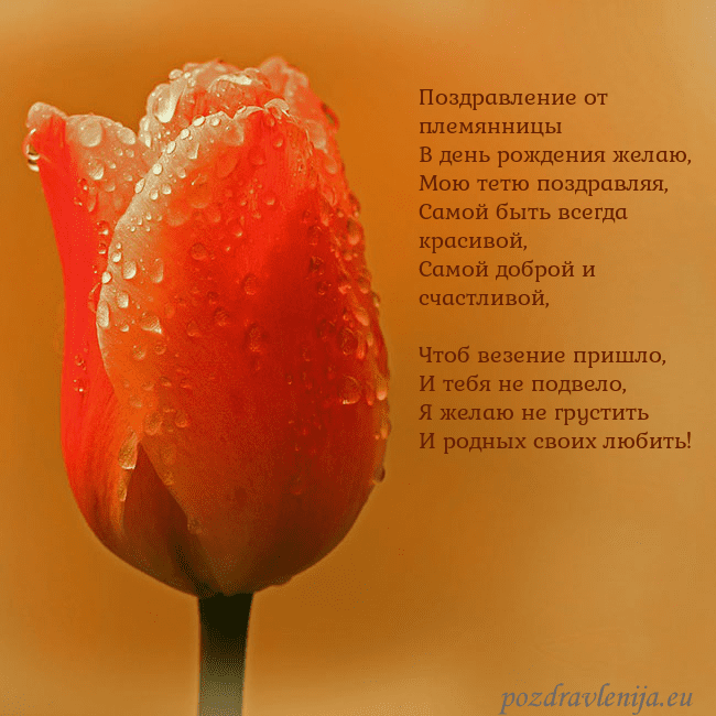 Открытка с красным тюльпаном