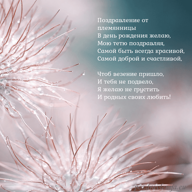 Открытка с пушистыми растениями