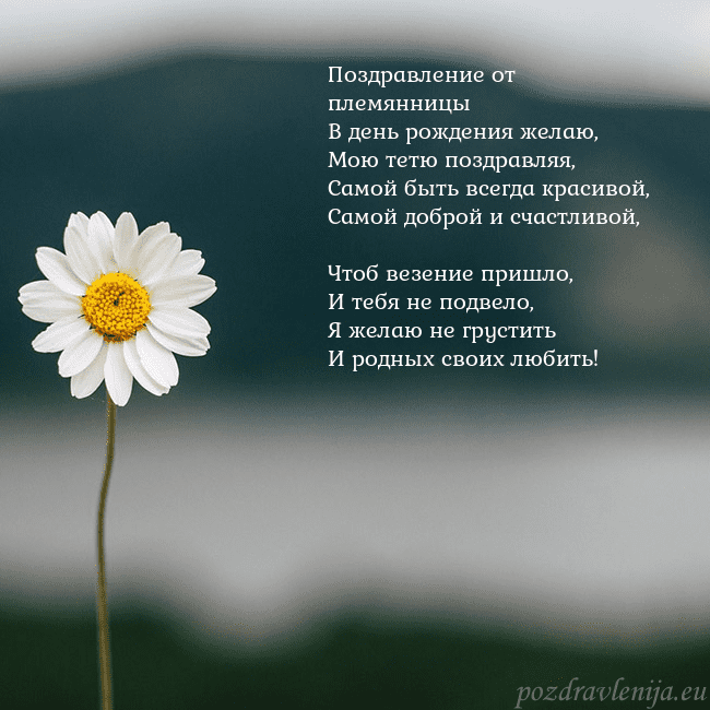 Электронная открытка с ромашкой