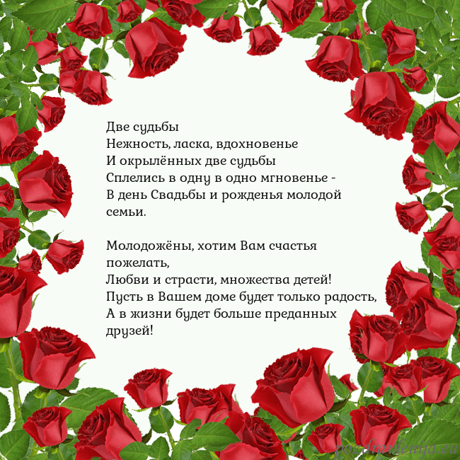 Открытка с красными розами Две судьбы
Нежность, ласка, вдохновенье
И окрылённ Открытка с красными розами