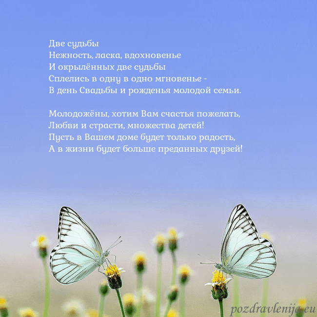 Свадебная открытка с двумя бабочками Две судьбы
Нежность, ласка, вдохновенье
И окрылённ Свадебная открытка с двумя бабочками