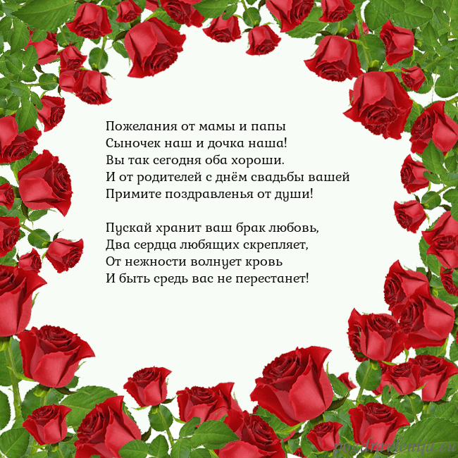 Открытка с красными розами Пожелания от мамы и папы
Сыночек наш и дочка наша! Открытка с красными розами