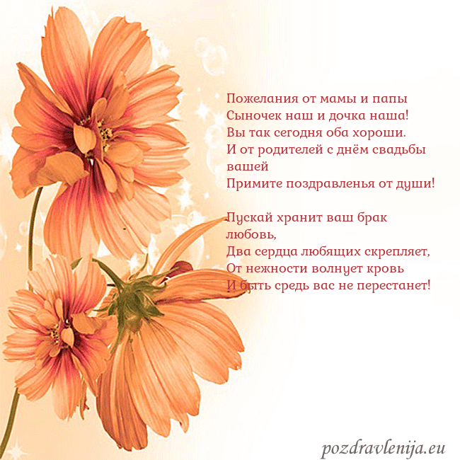 Открытка с оранжевыми цветами