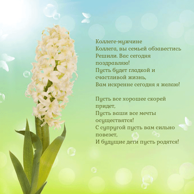 Открытка с гиацинтом Коллеге-мужчине
Коллега, вы семьей обзавестись
Реш Открытка с гиацинтом