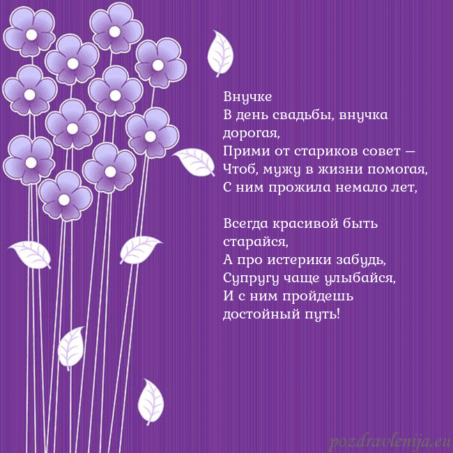 Открытка с фиолетовыми цветами Внучке
В день свадьбы, внучка дорогая,
Прими от ст Открытка с фиолетовыми цветами