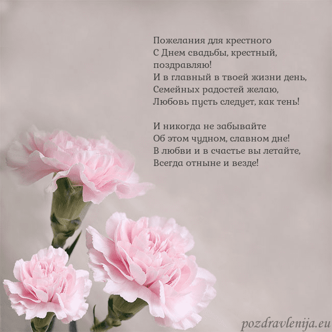 Открытка с розовыми гвоздиками Пожелания для крестного
С Днем свадьбы, крестный, Открытка с розовыми гвоздиками
