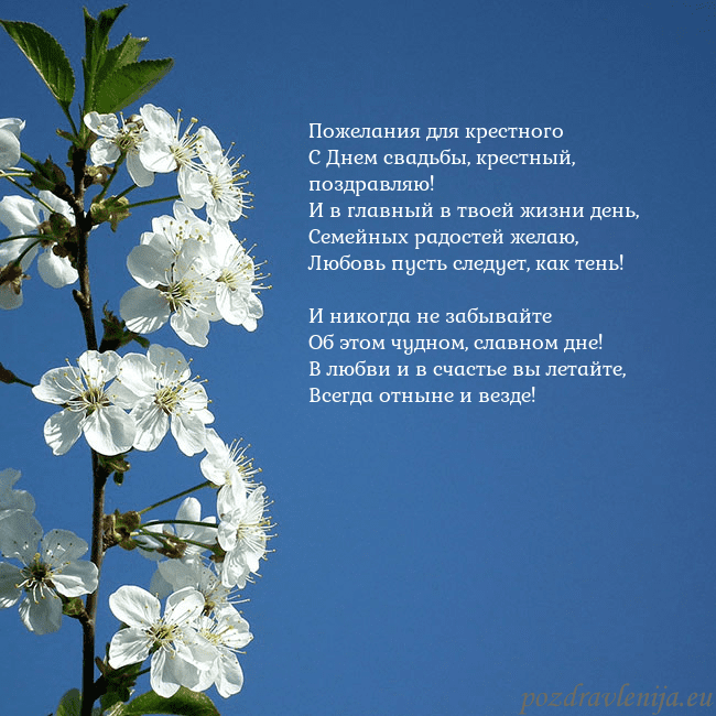 Открытка с весенними цветами Пожелания для крестного
С Днем свадьбы, крестный, Открытка с весенними цветами
