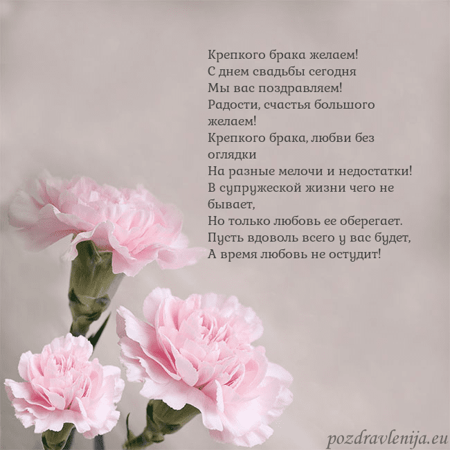 Открытка с розовыми гвоздиками Крепкого брака желаем!
С днем свадьбы сегодня
Мы в Открытка с розовыми гвоздиками