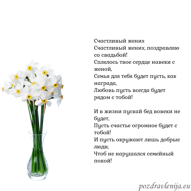 Открытка с нарциссами