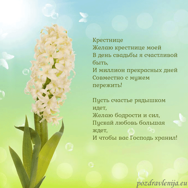 Открытка с гиацинтом Крестнице
Желаю крестнице моей
В день свадьбы я сч Открытка с гиацинтом