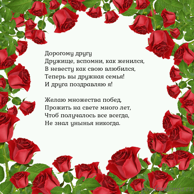 Открытка с красными розами Дорогому другу
Дружище, вспомни, как женился,
В не Открытка с красными розами